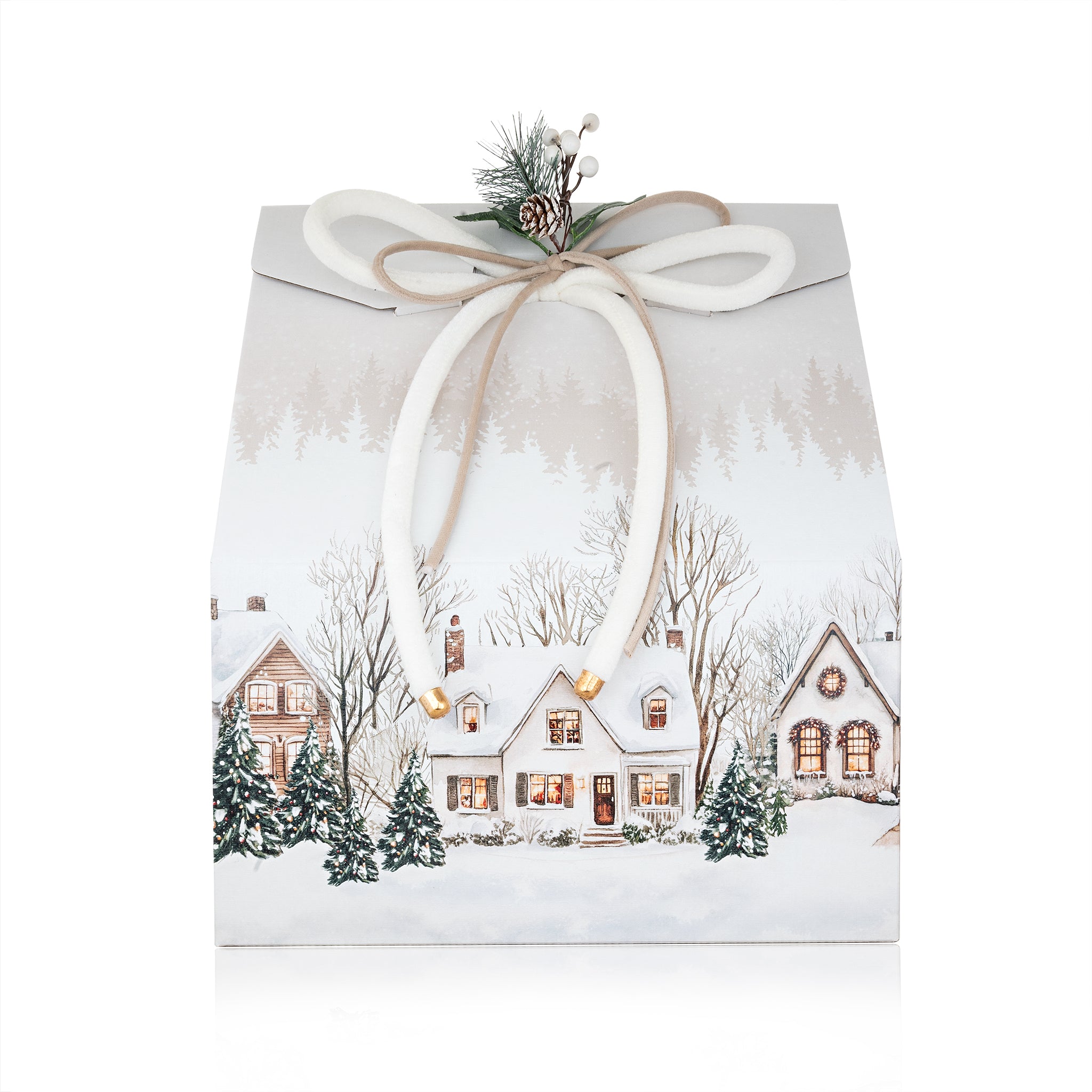 Зимна Приказка